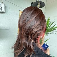 画像1551